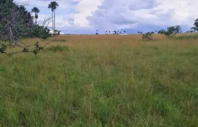 Imagem 8: Terreno para chácara. 58.888m² de Área