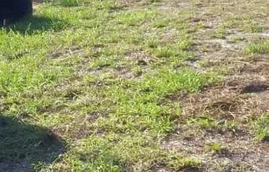 Imagem: A chácara possui 13.000m² de Área e está localizado em