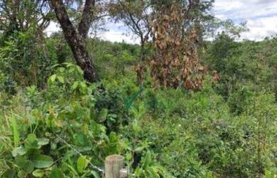 Imagem 5: Terreno à venda, 4004 m² por R$ 200.000,00 - Santa Helena - Santa Luzia/MG