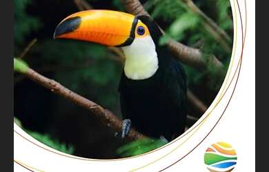 Imagem 9: Lançamento à venda, Estância Parque de Atibaia, Atibaia, SP