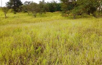 Imagem: O terreno possui 1.900m² de Área e está localizado em Chácaras