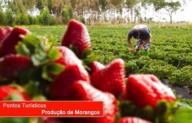 Imagem 8: Terreno à venda 550M², Jardim Kanimar, Atibaia - SP