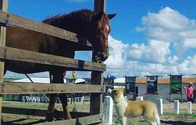 Imagem: O terreno possui 300m² de Área e está localizado em Cruz