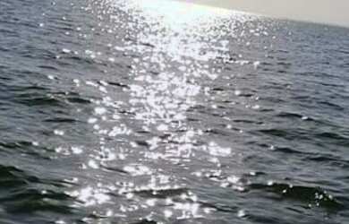 Imagem: O terreno possui 200m² de Área e está localizado em Sales