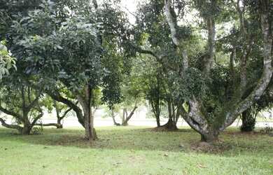 Imagem 2: Terreno à venda, Centro, Bragança Paulista, SP