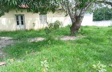 Imagem 13: Linda Fazenda com 200 hectares na região de São Gonçalo do Amarante