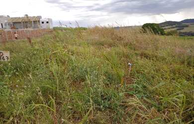 Imagem 3: TERRENO 1000M² EM ÁGUA BOA