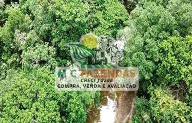 Imagem 5: Fazenda à Venda em Catu Fazenda de Pecuária 101 Hectares 234 Tarefas