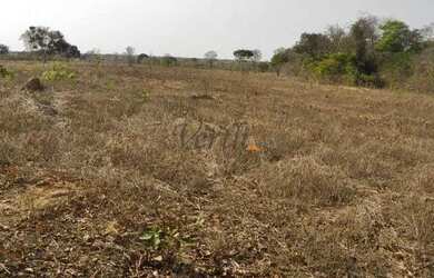 Imagem 8: Fazenda em Buritizeiro - Minas Gerais, à venda com 5600ha