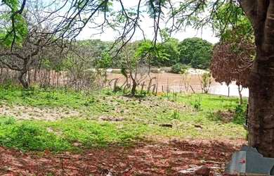 Imagem 3: Fazenda em Buritizeiro - Minas Gerais, à venda com 5600ha