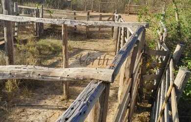 Imagem 2: Fazenda em Buritizeiro - Minas Gerais, à venda com 5600ha