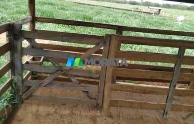 Imagem 5: FAZENDA À VENDA - 113 HECTARES - MORRO DA GARÇA MG