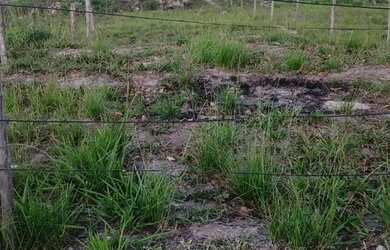 Imagem 2: Terreno. 90m² de Área