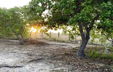 Imagem 11: Vendo, troco e negocio sítio no BOM INTENTO