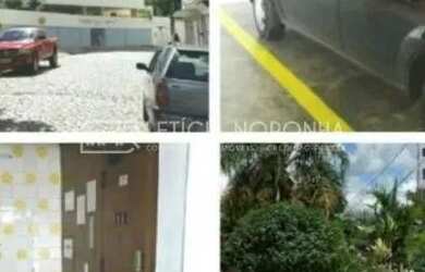 Imagem 3: Apartamento pra venda