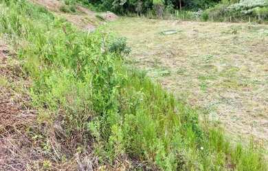 Imagem 2: Terreno Vila Romana - Flores da Cunha - RS