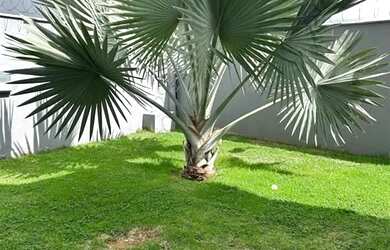 Imagem 3: CASA PARAÍBA DO SUL - RIO DE JANEIRO