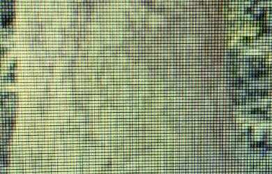 Imagem 15: VENDO FAZENDA 2988 hec ESCRITURADA REGIÃO DE AMAJARI RORAIMA 4250