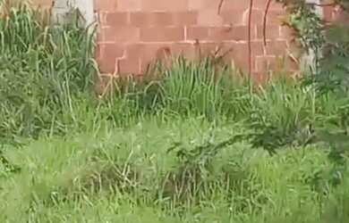 Imagem: O terreno possui 180m² de Área e está localizado em Santa