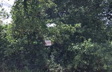 Imagem: O terreno possui 300m² de Área e está localizado em Pipa