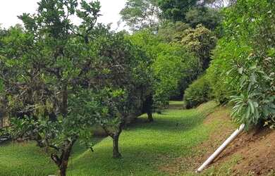 Imagem 9: Emicrei vende Excelente lote na Campestre São Leopoldo