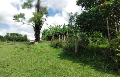 Imagem 4: Lote/Terreno para venda possui 1000 metros quadrados em Ibiuna - Ibiúna - SP