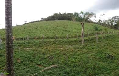 Imagem 9: Terreno 13 ha,com casa, água por gravidade,nascente,Serra do Cipó (Temos varias opções)