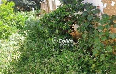 Imagem 9: Terreno à venda, 200 m² por R$ 220.000,00 - Nossa Senhora da Abadia...