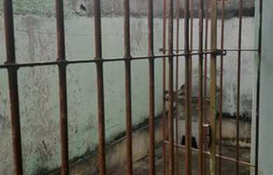 Imagem 12: Casa Fundos 2 qtos para Locação e Venda, Mútua São Gonçalo