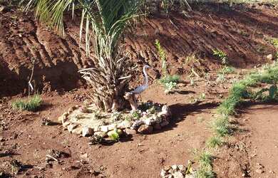 Imagem: A chácara possui 37.000m² de Área e está localizado em