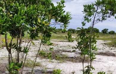 Imagem 5: Vendo terreno medindo 20x100 2.000 metros quadrados por 45.000