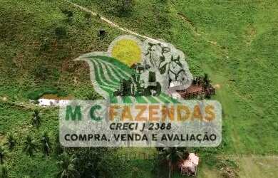 Imagem 4: Fazenda à Venda em Catu Fazenda de Pecuária 101 Hectares 234 Tarefas
