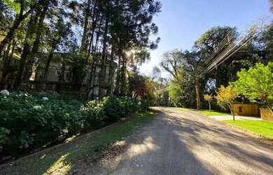 Imagem 7: Terreno à Venda em Canela, na Vila Suzana!