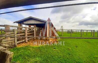 Imagem 2: FAZENDA - MARECHAL CANDIDO RONDON - PR