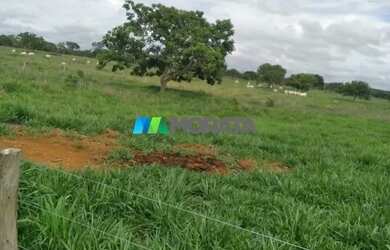 Imagem 11: FAZENDA À VENDA - 113 HECTARES - MORRO DA GARÇA MG