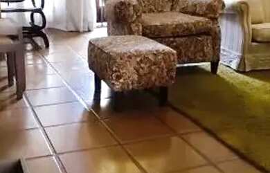 Imagem 12: Casa para Venda em Nova Friburgo, Mury, 3 dormitórios, 1 suíte, 2 banheiros,...