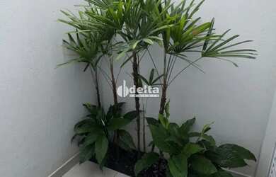 Imagem 15: Apartamento disponível para venda no bairro Novo Mundo em Uberlândia-MG