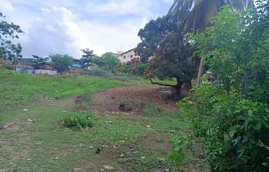 Imagem: O terreno possui 4675m² de Área e está localizado em Soledade