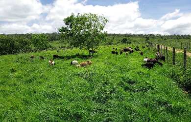 Imagem 12: Venda de Fazenda. Varanda, Guarda roupae870.000m² de Área