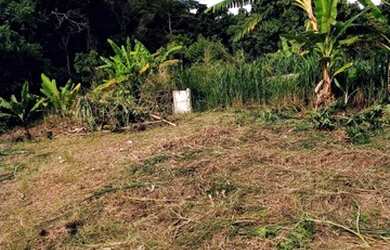 Imagem 4: Atibaia - Terreno Padrão - Jardim Paulista