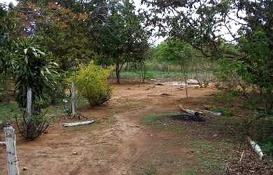 Imagem 4: Vende-se chácara no municipio de Arinos