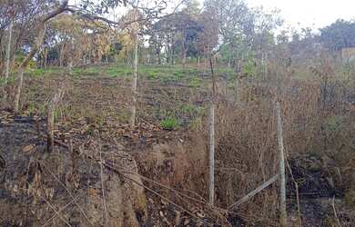 Imagem 5: Lote em igarape. 590m² de Área