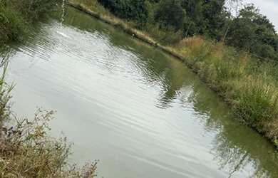 Imagem 10: Fazenda itaberai. 