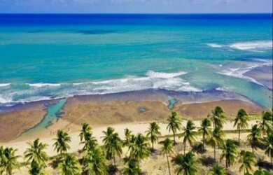 Imagem 3: Lote/Terreno para venda com 600 metros quadrados em Praia do Forte - Mata...