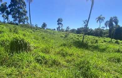 Imagem 10: Lote/Terreno para venda possui 1000 metros quadrados