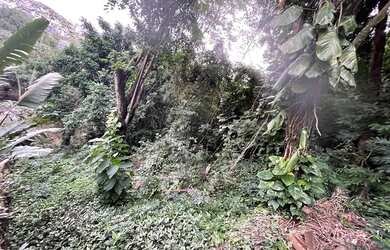 Imagem 4: Lote/Terreno para venda tem 5000 metros quadrados em Freguesia Jacarepaguá...