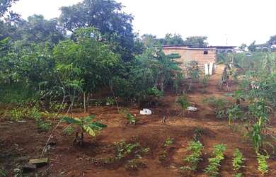 Imagem 9: Cháchara Jardim são José