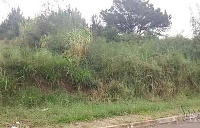 Imagem: O terreno possui Imóvel novo e está localizado em Rondônia