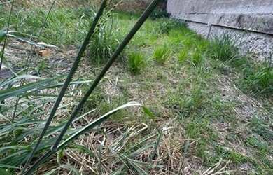 Imagem 3: Lote a Venda Santa Rosa. 360m² de Área