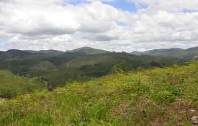 Imagem 5: Desapego do meu terreno. 1.000m² de Área